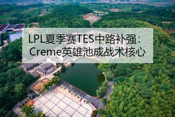 LPL夏季赛TES中路补强：Creme英雄池成战术核心