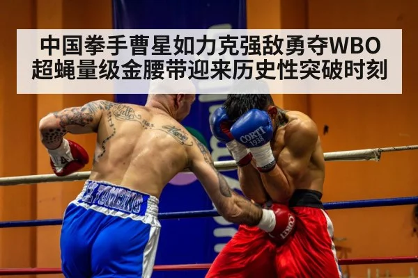 professional boxing match